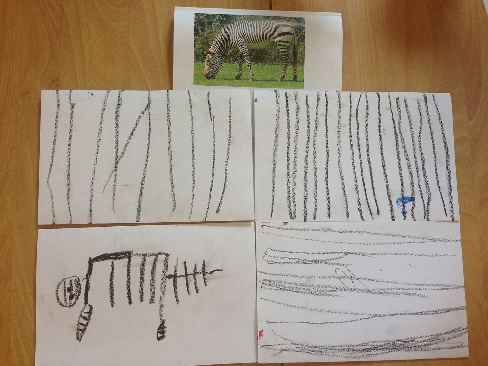Children's scketches of zebera patterns