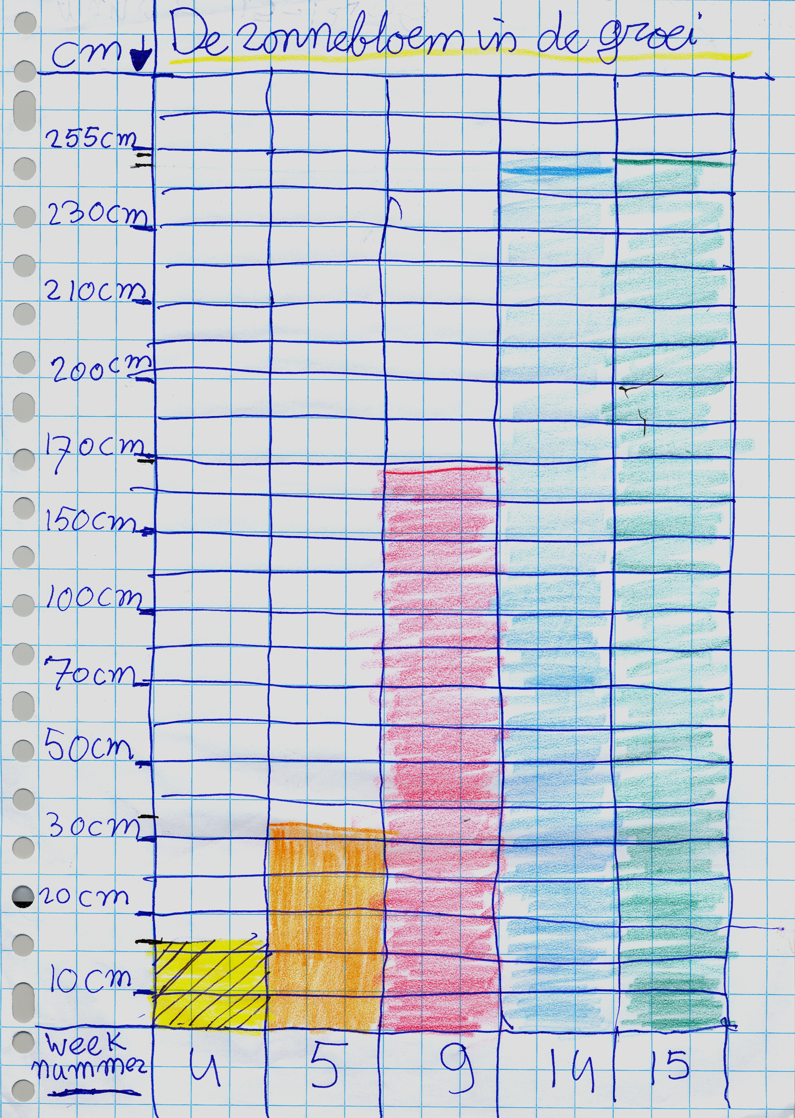 Image for Figure 15 – Sunflower growth graph, with axes not proportional