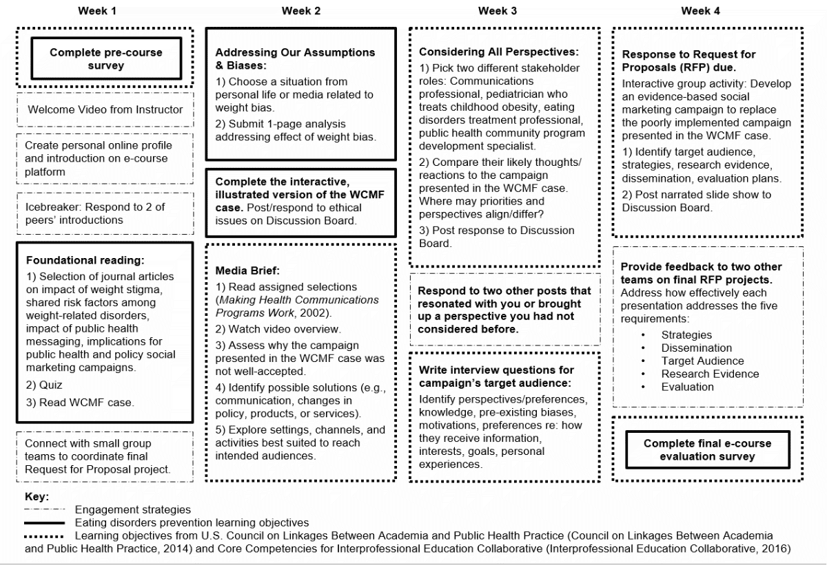 Image for Figure 5 – E-course components to enhance engagement and meet learning objectives