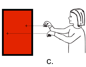 Image for Figure 1c